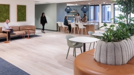 SFM Mutual Insurance